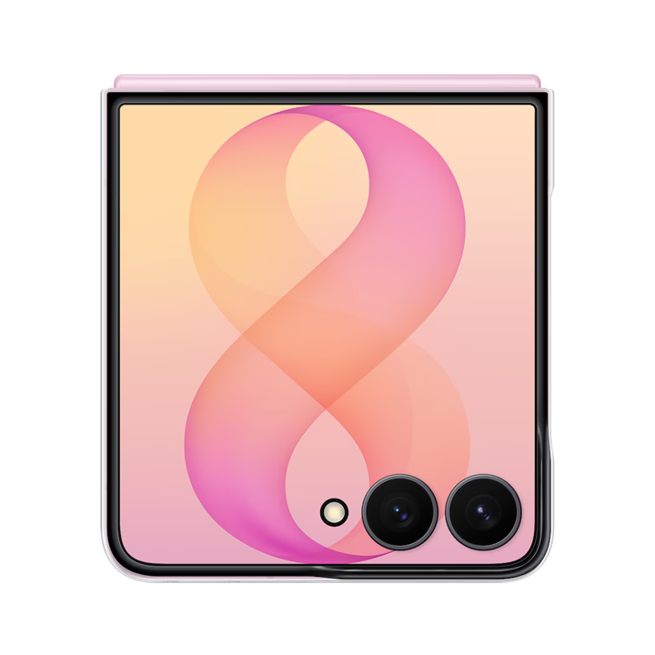Galaxy Flip 8 Clear Case