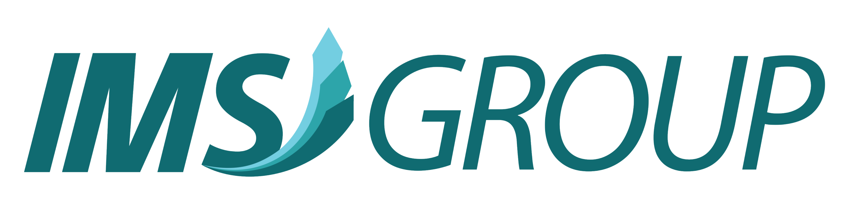 IMS Partner Logo